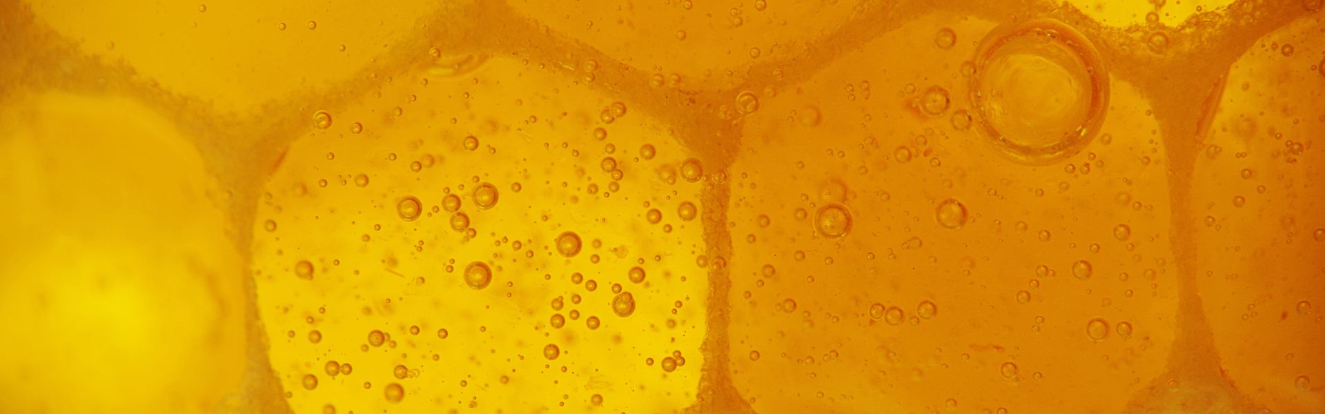 What is beeswax made of
